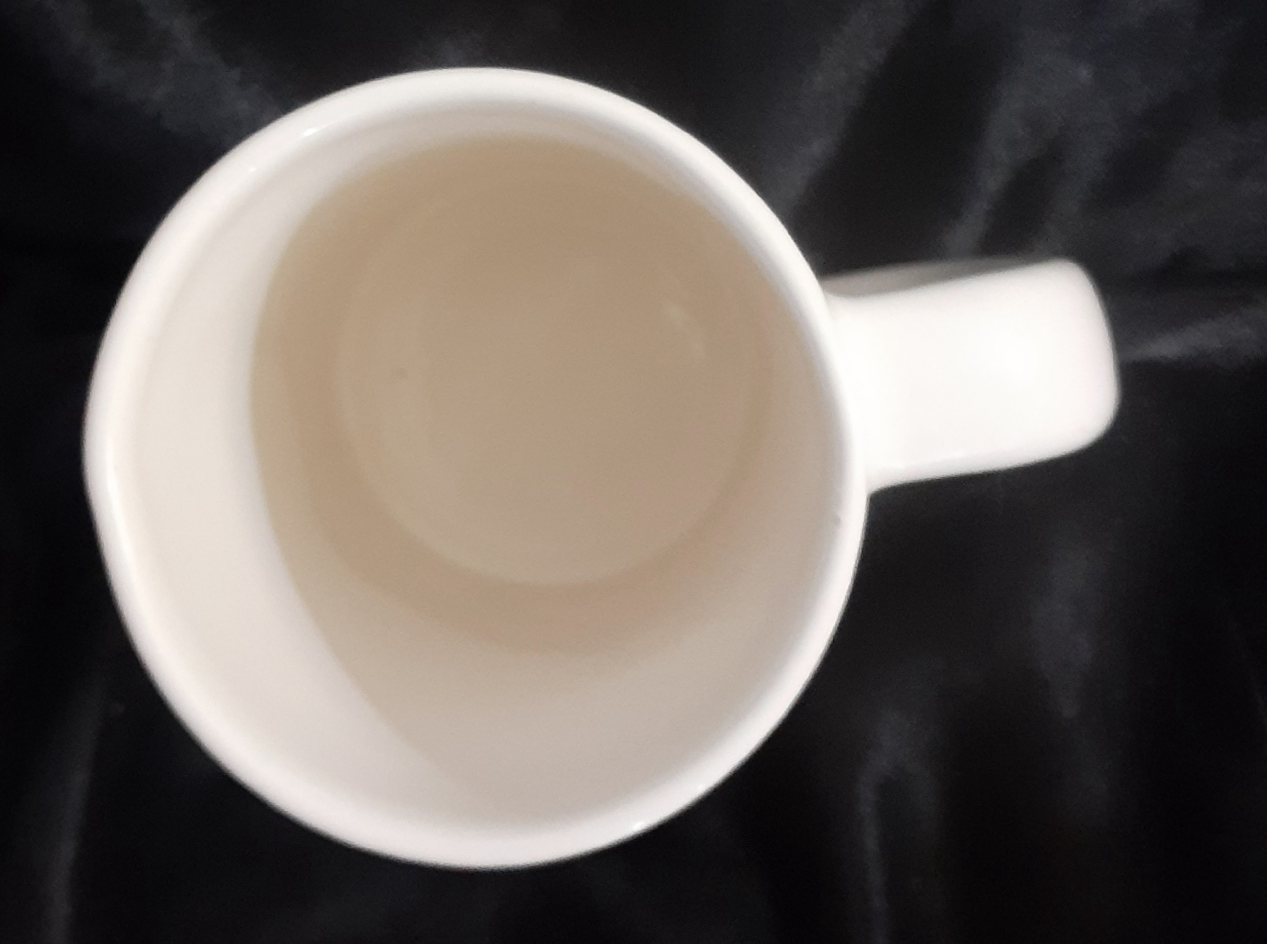 Elvis Remembered Stein Collection Rockin' In The Moonlight - Image 5