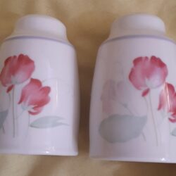 Royal Doulton Strand Fresh Flowers Line Salt & Pepper Shakers